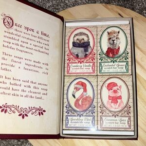 Once Upon A Time Cranberry, Spruce, Mint & Cinnamon Scented Bar Soap Set